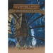 Pirate Magic: Jonah and the Pirate King