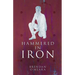 Hammered In Iron: Crafting Humanity Book 3