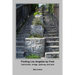 Finding Los Angeles By Foot: Stairstreet, bridge, pathway and lane