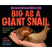 Big as a Giant Snail