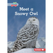 Meet a Snowy Owl