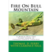 Fire On Bull Mountain: A World War Two Plane Crash in Patrick County Virginia