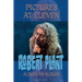 Pictures At Eleven: Robert Plant Album By Album