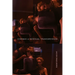 Cinemas of Bisexual Transgression