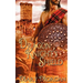 Dragon Knight's Shield