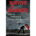 Survive in Business: How to Turn Your Struggling Business Around