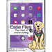 Estie Files: The Case of Online Safety