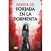 Forjada En La Tormenta / Forged in the Storm