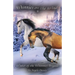 Winter of the Whinnies Brigade: A Wilderness Horse Adventure