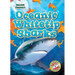 Oceanic Whitetip Sharks