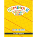Seminole Patchwork Design