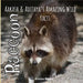 Raccoon: Aakash and Adithya's Wild Facts