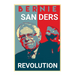 Bernie Sanders Revolution