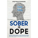 Sober Is Dope: Protect Your Sobriety: Why Relapse Happens and How the Brain and Nervous System Heal