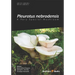 Pleurotus Nebrodensis: A Very Special Mushroom