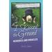 I Kissed the Ground: Memories and Miracles