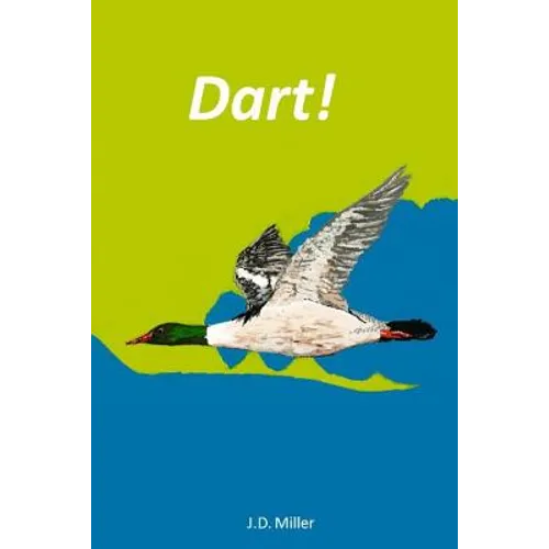 Dart!