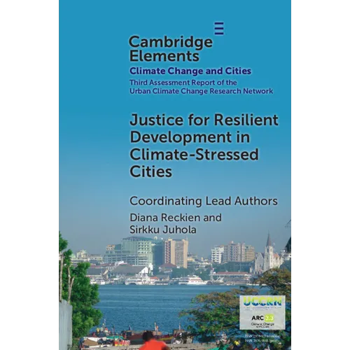 Justice for Resilient Development in Climate-Stressed Cities