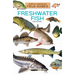 Freshwater Fish