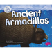 Ancient Armadillos