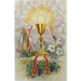 First Mass Book: An Easy Way of Participating at Mass for Boys and Girls