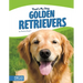 Golden Retrievers
