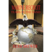 Marine Recruit: Tears in the Sand