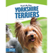 Yorkshire Terriers