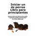 Iniciar un negocio de cría de perros Libro para principiantes: Guía del criador para obtener dinero gratis, artículos para el negocio canino, manejar