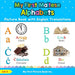 My First Maltese Alphabets Picture Book with English Translations: Bilingual Early Learning & Easy Teaching Maltese Books for Kids