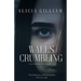 Walls Crumbling: A Seth Browne Novel, Book Two