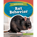 Rat Behavior