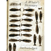 A Whaler's Dictionary