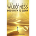 Out of the Wilderness _God's Path to Glory_