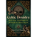 Celtic Druidry: Rituals, Techniques, and Magical Practices