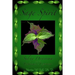 Sage Spirit - Salvia Divinorum and the Entheogenic Experience