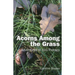 Acorns Among the Grass