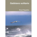 Gabbiano solitario