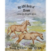 My ABC Book of Horses: A Poetic Ride Through the Alphabet