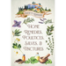 Home Remedies, Poultices, Salves, and Tinctures