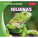 Iguanas