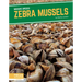 Zebra Mussels