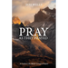 Pray as They Prayed: A Guide to the Bible's Greatest Prayers