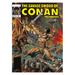 The Savage Sword of Conan: The Original Comics Omnibus Vol.11