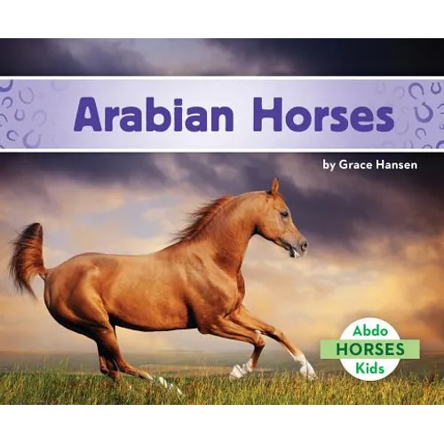 Arabian Horses