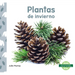 Plantas de Invierno (Winter Plants)