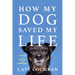 How My Dog Saved My Life: Thirty Tales of Courage and Compassion