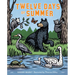Twelve Days of Summer
