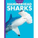 Curious about Hammerhead Sharks