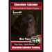 Chocolate Labrador Training Book for Dogs and Puppies by BoneUp Dog Training: Are You Ready to Bone Up? Easy Steps * Quick Results Chocolate Labrador